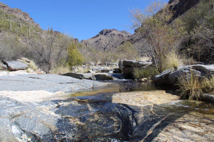 A Visitor’s Guide to Spring in La Quinta Resort Home Destinations